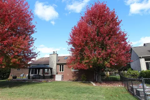 Exterior - 36498 Haley, New Baltimore, MI 48047 photo 3 of 6