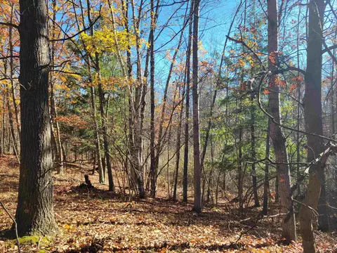 3385 Jones, Beaverton, MI 48612 photo 36
