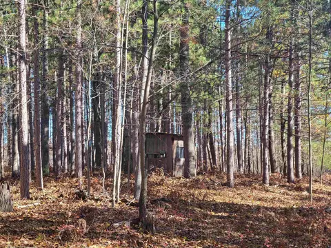 3385 Jones, Beaverton, MI 48612 photo 51
