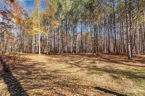 3385 Jones, Beaverton, MI 48612 photo 32