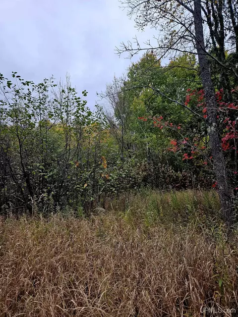 tbd Koskela, Wakefield, MI 49968 photo 6