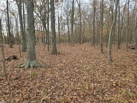 Other - 6151 Duce, Avoca, MI 48006 photo 17 of 20