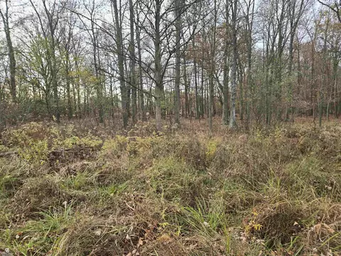 Other - 6151 Duce, Avoca, MI 48006 photo 20 of 20