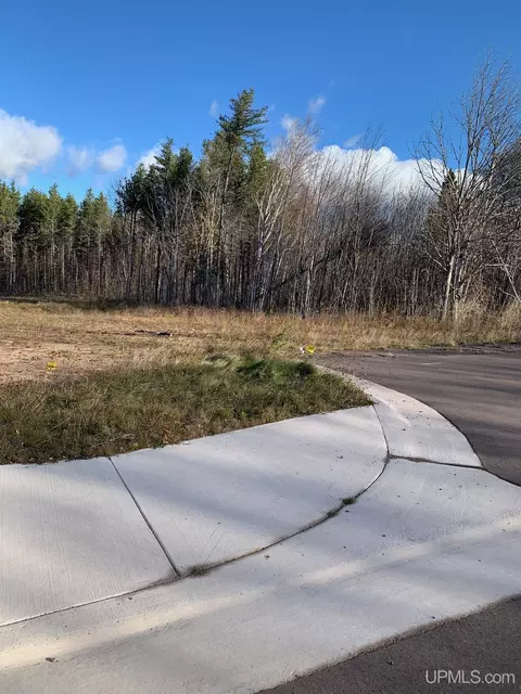 lot11 Dolomite, Hancock, MI 49930