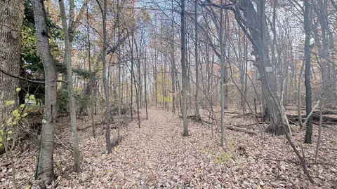tbd W Westlawn, Harrison, MI 48625 photo 13
