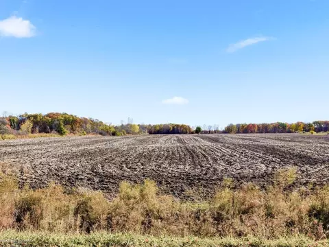 Mcintyre, North Street, MI 48049