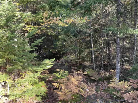 tbd County Road 436, Gulliver, MI 49840