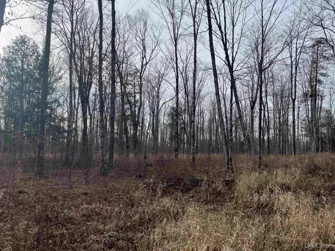 Exterior - 120 Acres Off County Sk, Cornell, MI 49818 photo 14 of 17