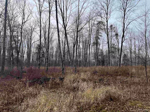 Exterior - 120 Acres Off County Sk, Cornell, MI 49818 photo 15 of 17