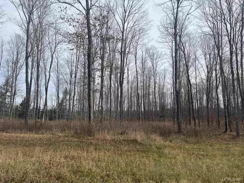 Exterior - 120 Acres Off County Sk, Cornell, MI 49818 photo 4 of 17