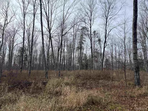 Exterior - 120 Acres Off County Sk, Cornell, MI 49818 photo 17 of 17