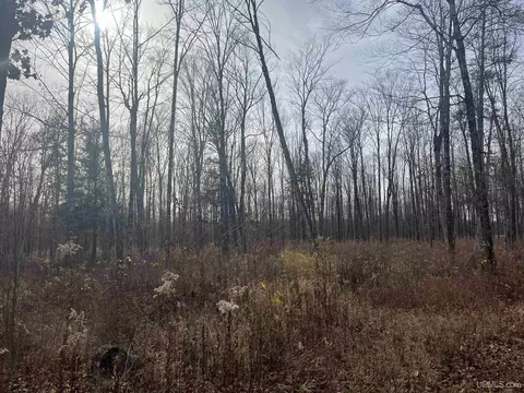 Exterior - 120 Acres Off County Sk, Cornell, MI 49818 photo 6 of 17