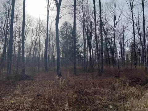Exterior - 120 Acres Off County Sk, Cornell, MI 49818 photo 13 of 17