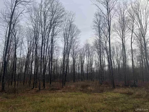 Exterior - 120 Acres Off County Sk, Cornell, MI 49818 photo 5 of 17