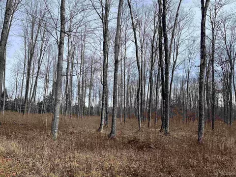 Other - 120 Acres Off County Sk, Cornell, MI 49818 photo 13 of 15