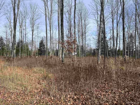 Exterior - 120 Acres Off County Sk, Cornell, MI 49818 photo 10 of 17
