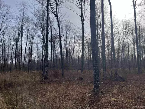 Exterior - 120 Acres Off County Sk, Cornell, MI 49818 photo 12 of 17