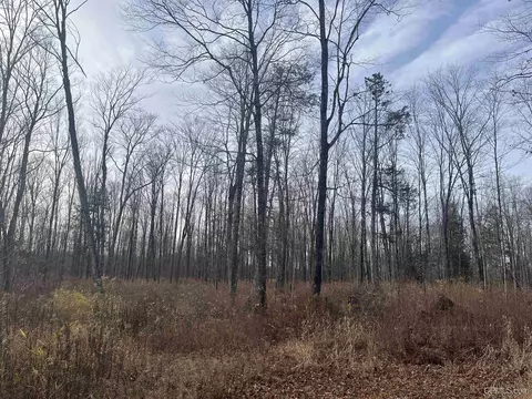 Other - 120 Acres Off County Sk, Cornell, MI 49818 photo 1 of 15