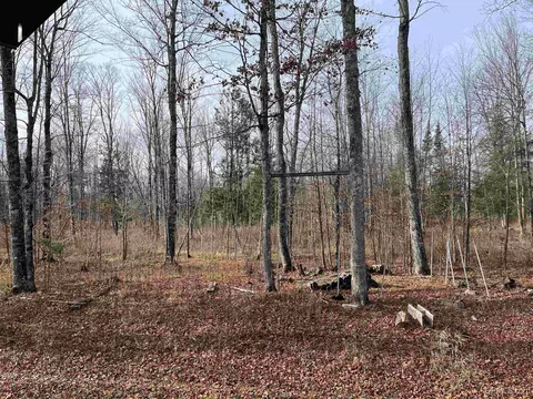 Exterior - 120 Acres Off County Sk, Cornell, MI 49818 photo 8 of 17