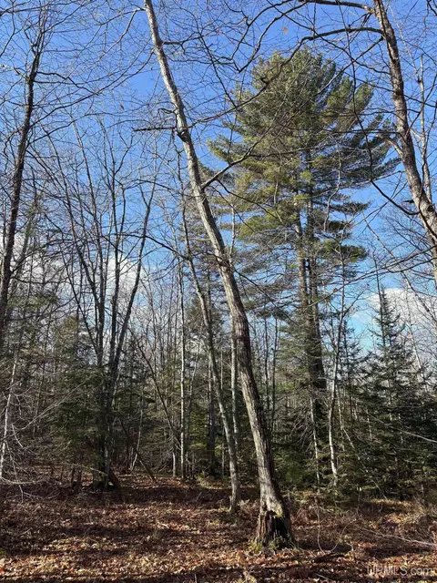 tbd Us41, Mohawk, MI 49950 photo 11