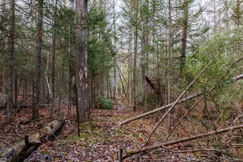 6350 E Tower, Onaway, MI 49765 photo 5