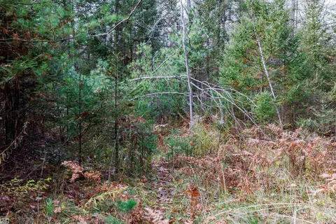 6350 E Tower, Onaway, MI 49765 photo 26