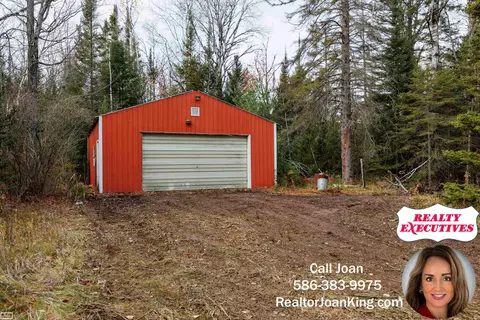6350 E Tower, Onaway, MI 49765 photo 9