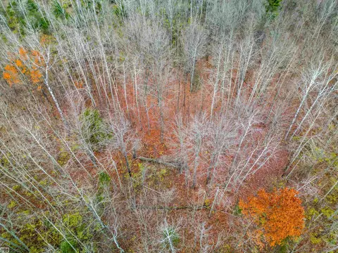 6350 E Tower, Onaway, MI 49765 photo 19