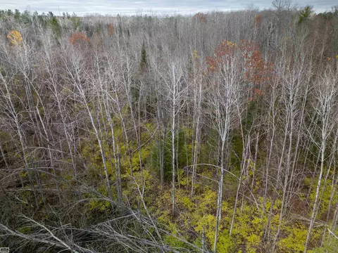 6350 E Tower, Onaway, MI 49765 photo 7