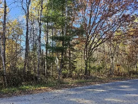 1 9 Acres Indian Lk, Gladwin, MI 48624 photo 3