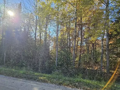 1 9 Acres Indian Lk, Gladwin, MI 48624 photo 2