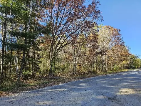 1 9 Acres Indian Lk, Gladwin, MI 48624