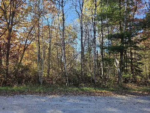 1 9 Acres Indian Lk, Gladwin, MI 48624 photo 4