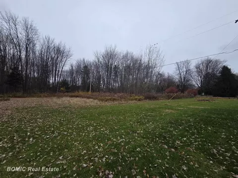 Exterior - 8832 Ormes, Vassar, MI 48768 photo 4 of 5