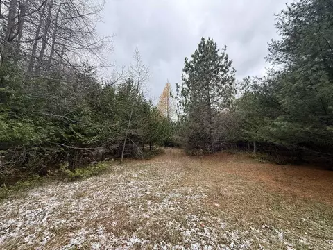 tbd Appleford, Moran, MI 49760 photo 3