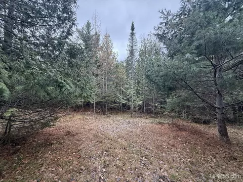 tbd Appleford, Moran, MI 49760 photo 5