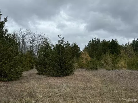 tbd Appleford, Moran, MI 49760 photo 8