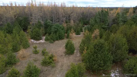 tbd Appleford, Moran, MI 49760 photo 23