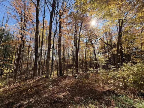 Parcel 230 Blue, Pelkie, MI 49958