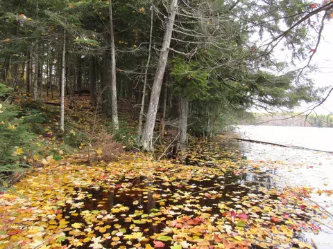 lot9 Little Africa Lk, Watersmeet, MI 49969