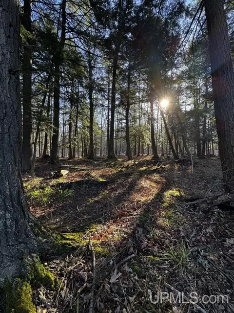 tbd Off Skanee, Skanee, MI 49962
