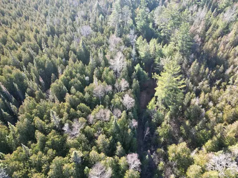 12265 28th, Rapid River, MI 49878 photo 57