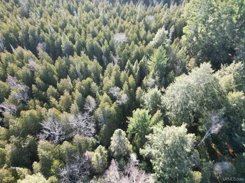 12265 28th, Rapid River, MI 49878 photo 59
