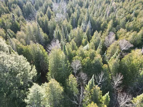 12265 28th, Rapid River, MI 49878 photo 52