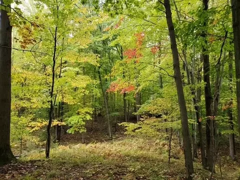 Taylor, Millington, MI 48746