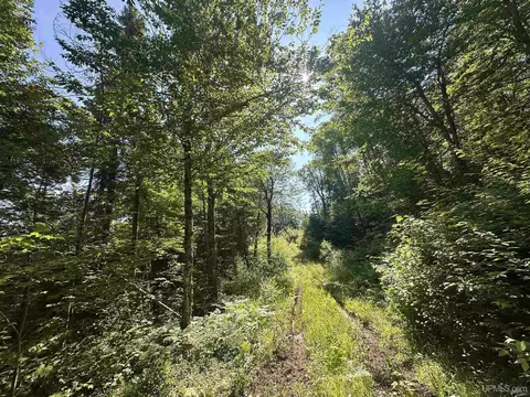 Off Indian Lake, Michigamme, MI 49861