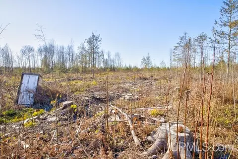 9311 Y, Rapid River, MI 49878 photo 8