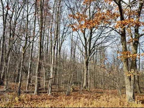 0 N Waldo, Midland, MI 48642