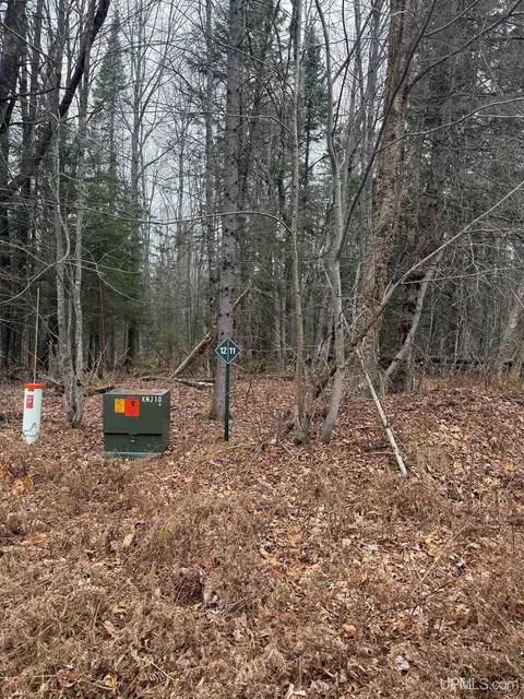 lot11 Keweenaw, Lake Linden, MI 49945