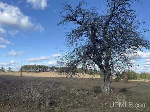 31 75, Carney, MI 49812